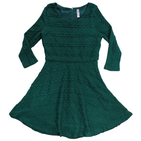 Alya Green Cable Knit Fit & Flare Sweater Dress Size Large Lined - Picture 1 of 6